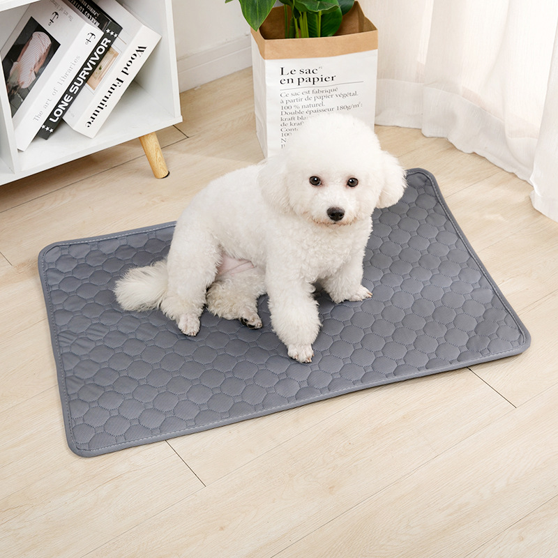 Reusable Dog Pee Pad Blanket A - Carriage Bed 评论和价格