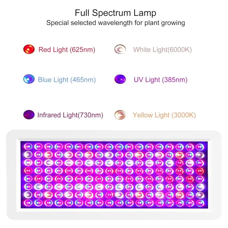 2026 Latest UV Light Box for S - Resin Printer 评论和价格